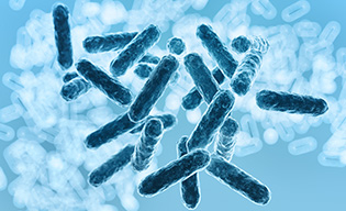 ORÁLIS MIKROBIOM - Mit is jelent?